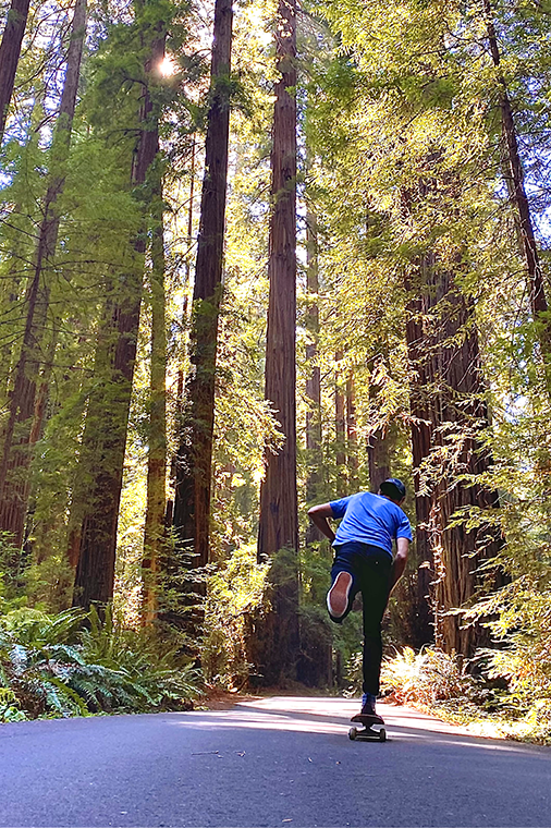 A person is skateboarding through a path surrounded by redwood trees