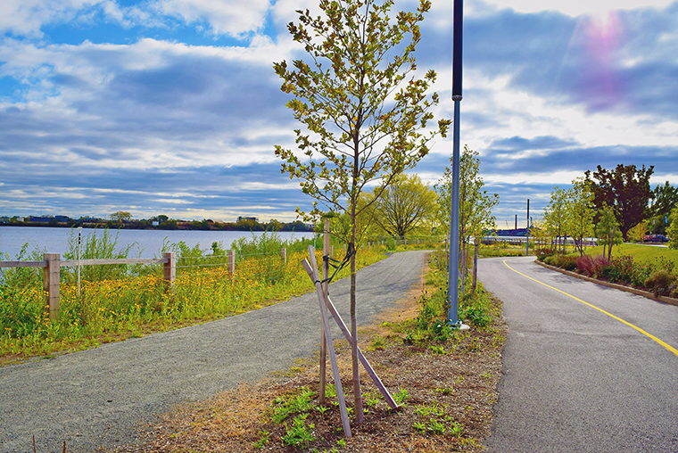 A photo of two trails alongside a river