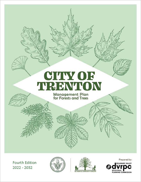 An image of the cover of the report City of Trenton Management Plan for Forests and Trees